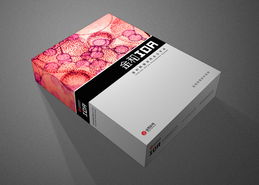 尚丞设计案例分享 金和管理软件包装设计的创新之路