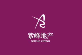 北京网站建设行业知名品牌 和君设计公司的专业服务与行业优势