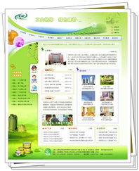 北京网站建设与设计专家 朗晨资讯的专业网站策划服务